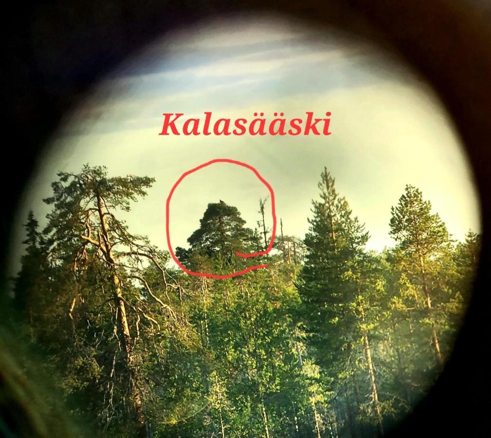 Salen Saunamoekki Villa Ranua Esterno foto